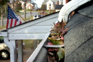 Eugene Gutter Cleanup on a residential roof side